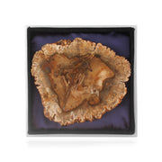 Petrified wood coasters